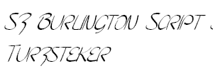 SF Burlington Script SC Italic